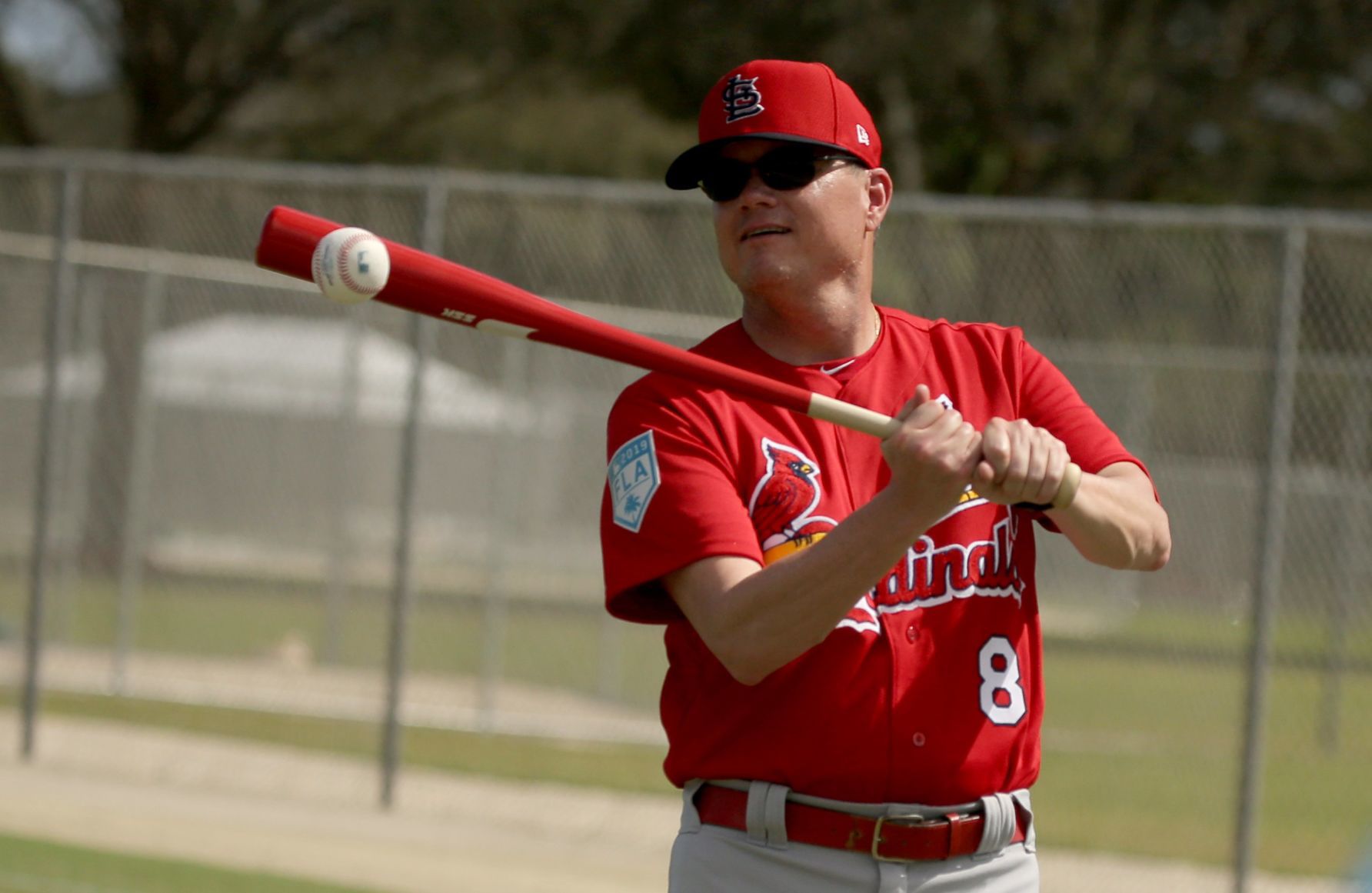 2019 Cardinals spring training